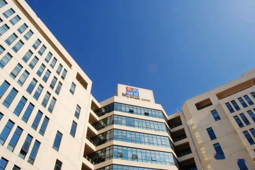 走進上海鋼聯 以數字化為抓手，當好大宗商品綜合服務商與商務信息咨詢專家